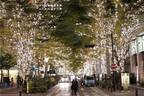 「丸の内イルミネーション2019」1.2kmの街路樹を約100万個の電球でライトアップ