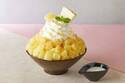 ソルビン、たっぷりピーチ×ココナッツミルクの限定かき氷「ピーチココナッツソルビン」発売