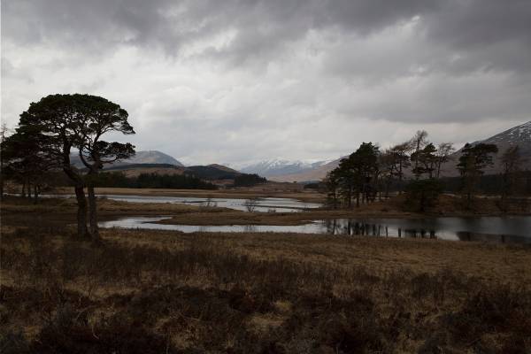 国立科学博物館「風景の科学展 芸術と科学の融合」佐藤卓ディレクション、風景写真を研究者視点で紐解く