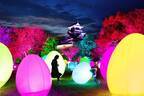 チームラボのアート展が日本三大夜城・高知城で、“光のアート”で包む国の重要文化財
