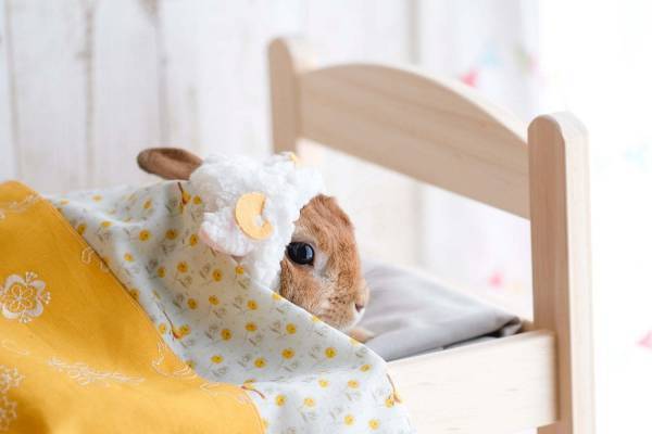 うさぎの合同写真＆物販展「うさぎしんぼる展」オービィ横浜で、うさぎアクセサリーなど販売