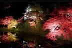 「弘前城 菊と紅葉まつり」青森・弘前公園で、1,000本の楓＆2600本の桜のライトアップも