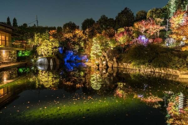 「秋の庭園ライトアップ」東京・目白庭園で、幻想的な光の庭園で見る紅葉