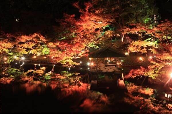 東京・白金台の八芳園、秋の紅葉ライトアップ - 100本のもみじと光で演出する“紅い夜”