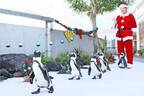 横浜・八景島シーパラダイスのクリスマス、サンタが水槽に現れるイワシショーやペンギンパレード