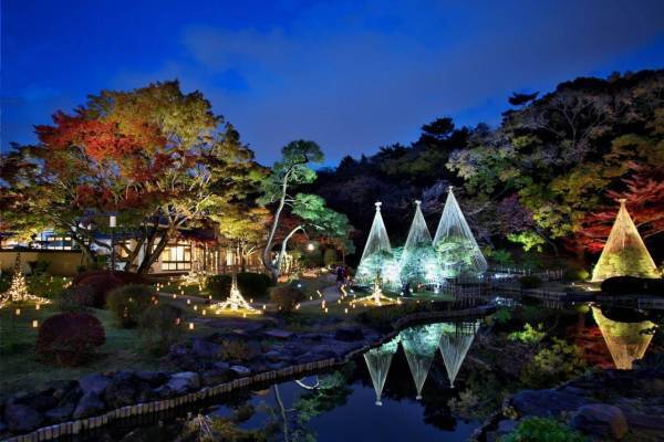「秋の紅葉ライトアップ」東京・肥後細川庭園で、色づく紅葉と光が織りなす幻想空間