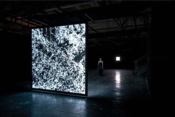 カナダグース、ダウンジャケットの羽毛などをモチーフにした映像インスタレーション開催