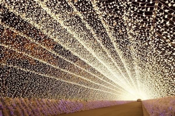 「なばなの里 イルミネーション」三重桑名で開催、春夏秋冬“さくら”の風景を楽しむ光の演出