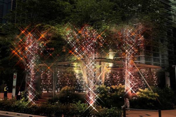 日本橋を紅く彩る“光の刺繍”イルミネーション、「江戸小紋」をモチーフに