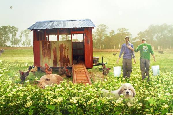 映画『ビッグ・リトル・ファーム 理想の暮らしのつくり方』自然を愛する夫婦を追ったドキュメンタリー