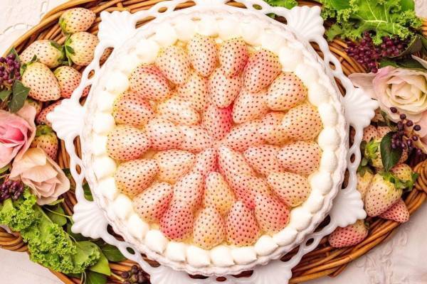 キル フェ ボン「特選 白イチゴ〜初恋の香り〜ババロアのタルト」グランメゾン銀座で先行販売