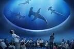 四国最大級の水族館「四国水族館」香川・宇多津町にオープン、瀬戸内海を望むイルカショーやサメ水槽など