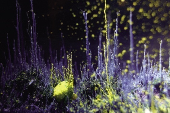 現代アートの国際展「ヨコハマトリエンナーレ2020」横浜で開催、“共存”をめぐる対話の場