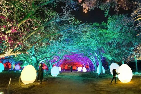 「チームラボ 福岡城跡 光の祭 2019-2020」夜の福岡城跡が光のアート空間に