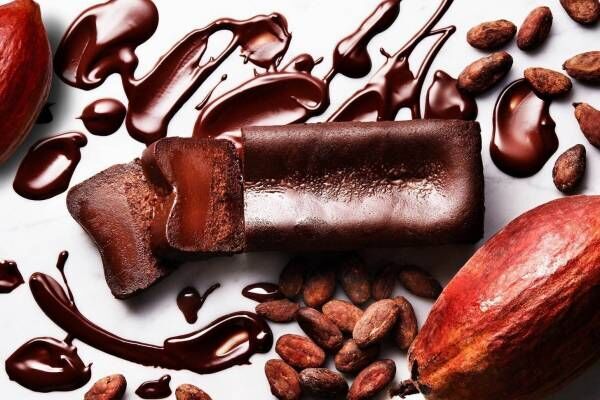 大人のガトーショコラ専門店「マジョリ」に“濃厚ビター”な新作、生チョコテリーヌのような食感
