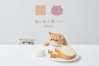 “猫型”高級食パン専門店「ねこねこ食パン」名古屋に新店、しっとりもっちり牛乳100％のミルキーな味