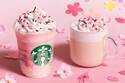 スターバックス新作ドリンク「さくら ミルクプリン フラペチーノ」＆「さくら ミルク ラテ」
