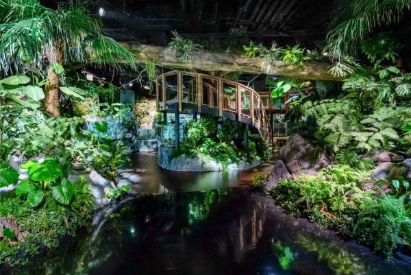 「DMMかりゆし水族館」イーアス沖縄豊崎に誕生、最新の映像表現を駆使したエンタテイメント水族館