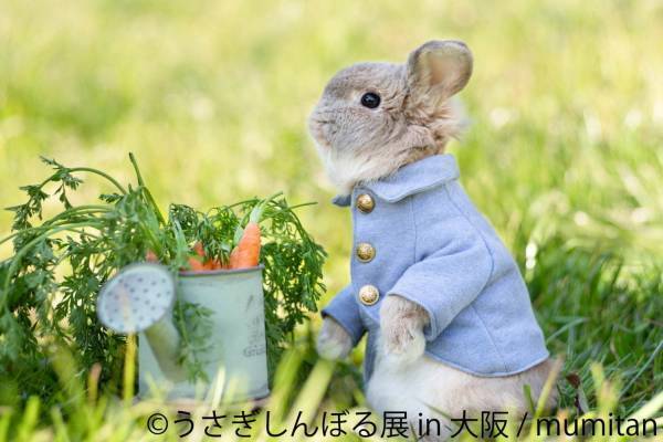 うさぎの合同写真＆物販展「うさぎしんぼる展」大阪初上陸、うさぎグッズなどルクア大阪で販売