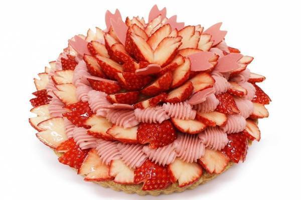 カフェコムサ“満開の桜＆葉桜”ケーキ、旬の苺×桜あんクリームや抹茶モンブランクリーム