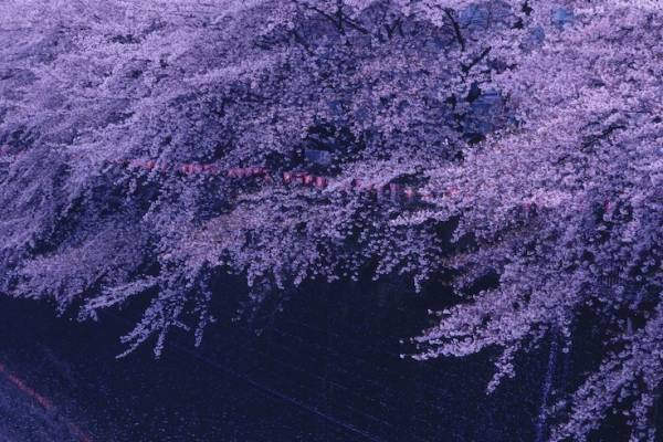 写真家・鈴木親の展覧会が東品川で、日常の“断片”を切り取る写真約40点