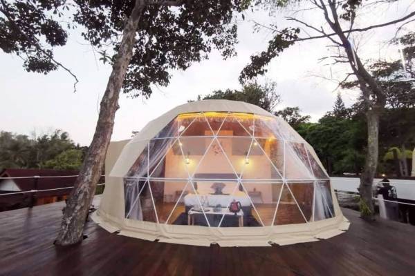 アニマルグランピング施設「ザ・バンブーフォレスト」千葉にオープン、動物のエサやりやふれあい体験