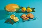 チーズガーデン「御用邸チーズケーキ」限定“レモン”フレーバー、濃厚チーズ×爽やかレモンピール