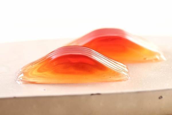 叶 匠寿庵“すっきり大人の梅酒ゼリー”「標野(しめの)」希少な赤い梅で炎のような美しい赤色に