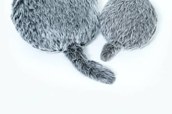 シリコンバレー発「ベータ(b8ta)」日本初上陸、20年夏最新ガジェット体験型ストアが新宿＆有楽町に