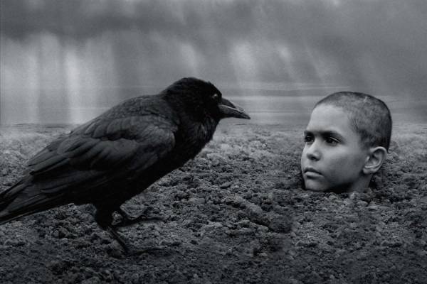 『異端の鳥』ポーランド“発禁の書”が映画化、ホロコーストの本質に迫る異端の問題作