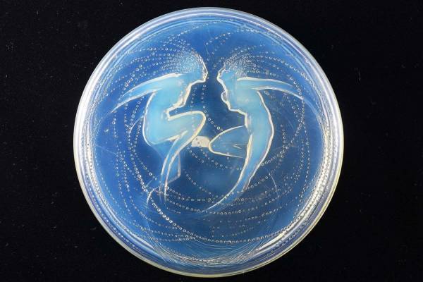 展覧会「ラリック・エレガンス」横浜・そごう美術館で - 優美なジュエリー＆ガラス作品約200点を紹介