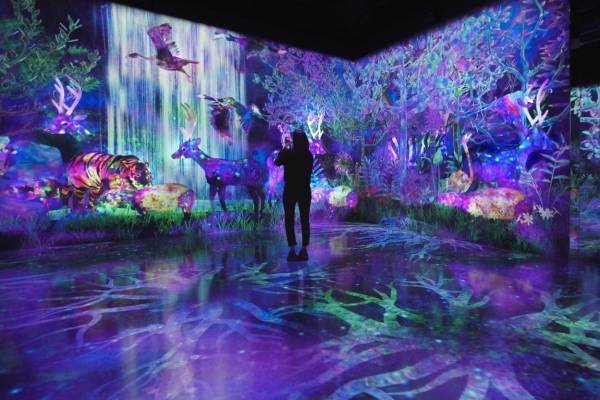 体験型デジタルアートミュージアム「チームラボフォレスト」福岡の新施設ボス イーゾ フクオカ内に誕生