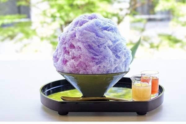 「紫陽花」イメージのかき氷が鎌倉・こまち茶屋で、ブルーから紫に変わる“色チェン”トリックも