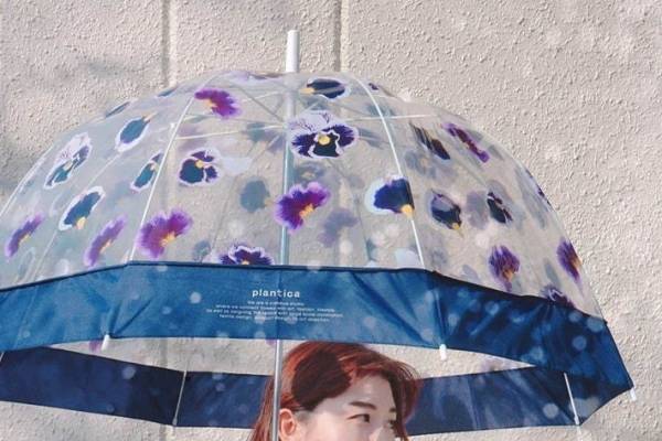 “花びらが宙を舞う”ビニール傘がWpc.から、パンジーやミモザを描いたドーム型