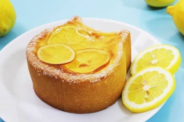 猫形チーズケーキ専門店「ねこねこチーズケーキ」から瀬戸内レモンを使った夏限定の新作
