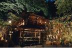 京都・貴船神社の「七夕笹飾り」色とりどりの短冊が境内に&夜間はライトアップも