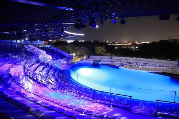 京都水族館「夜のすいぞくかん」夜だけの幻想的な空間演出、期間限定で開催