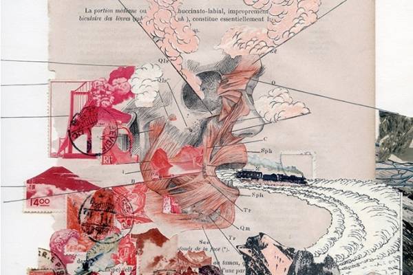 東京都現代美術館「MOTアニュアル2020 透明な力たち」展、自然・社会に働く“不可視の力”を再構築