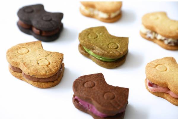 “ねこ型”ベーカリー&スイーツ専門店「京都ねこねこ」京都に新店、抹茶&ほうじ茶入り食パンなど