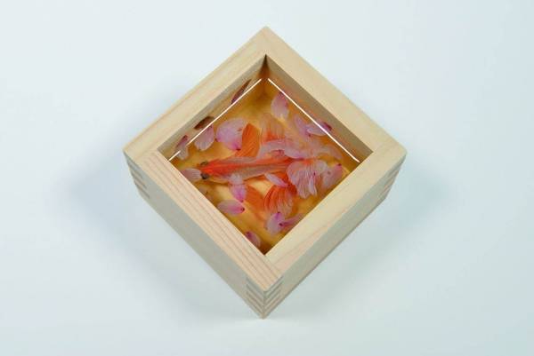 本物そっくりの金魚アート、“金魚絵師”深堀隆介の展覧会「金魚愛四季」が西武渋谷店で