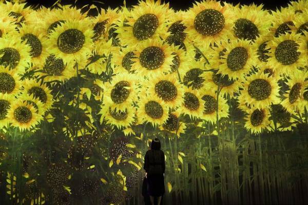 チームラボ“約10万本のひまわり”が咲き誇る新作展示、お台場・チームラボボーダレスで