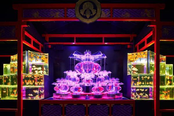 「アートアクアリウム城 ～京都・金魚の舞～」二条城で、金魚が舞う超大型“動く屏風絵”など