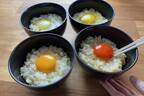 全国の“レア卵”が集結する「幻の卵屋さん」池袋駅に、酒かす風味&ユズの香る卵など約40種類