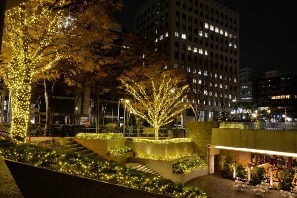 西新宿のクリスマスイルミネーション、新宿野村ビルやヒルトン東京など10か所で点灯