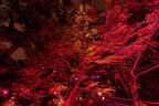 太閤園 秋のガーデンイルミネーション「からくれないに染まる夜」真っ赤な紅葉ライトアップ