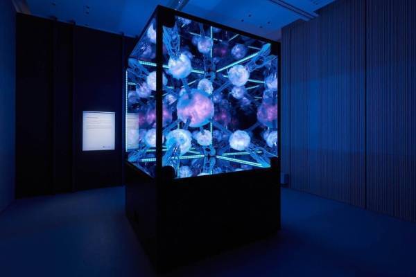 ロロ・ピアーナ銀座店、デジタル・アート・インスタレーションを期間限定実施 - 坂本龍一の音楽と共に