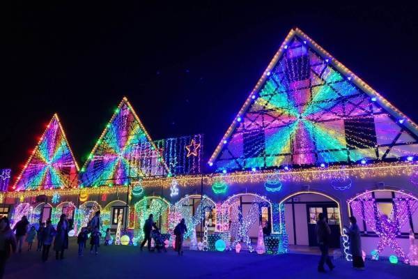 東京ドイツ村、約300万球輝くウインターイルミネーション - 観覧車から見下ろす3Dイルミアートも