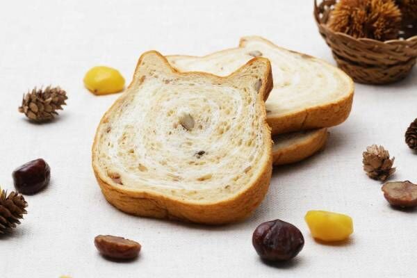ねこ型高級食パン専門店「ねこねこ食パン」に11月限定“モンブラン”風味、栗の果肉もゴロゴロ