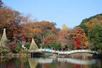 町田薬師池公園四季彩の杜で「紅葉まつり」自然豊かな敷地内で紅葉鑑賞、夜間はライトアップも