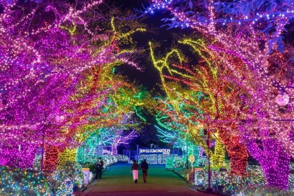 よみうりランド「ジュエルミネーション」“誕生石”着想12のエリアで輝く650万球のイルミネーション